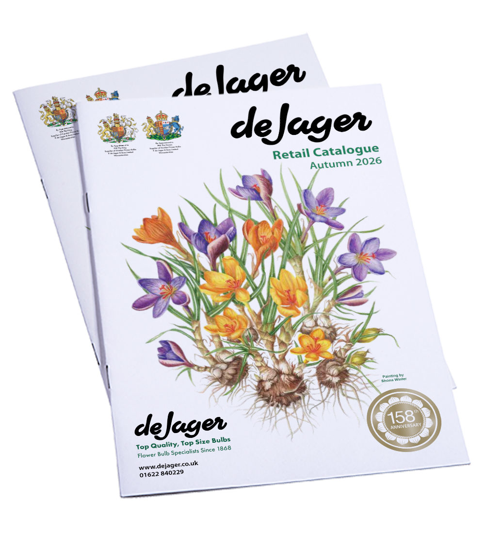 de Jager Catalogue