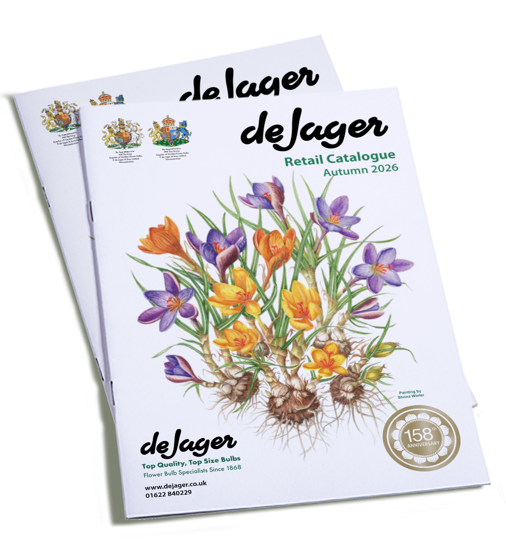 de Jager Catalogue