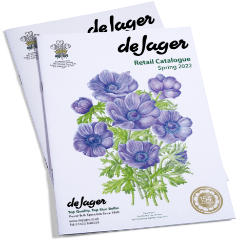 De Jager Bulb Catalogue Cover