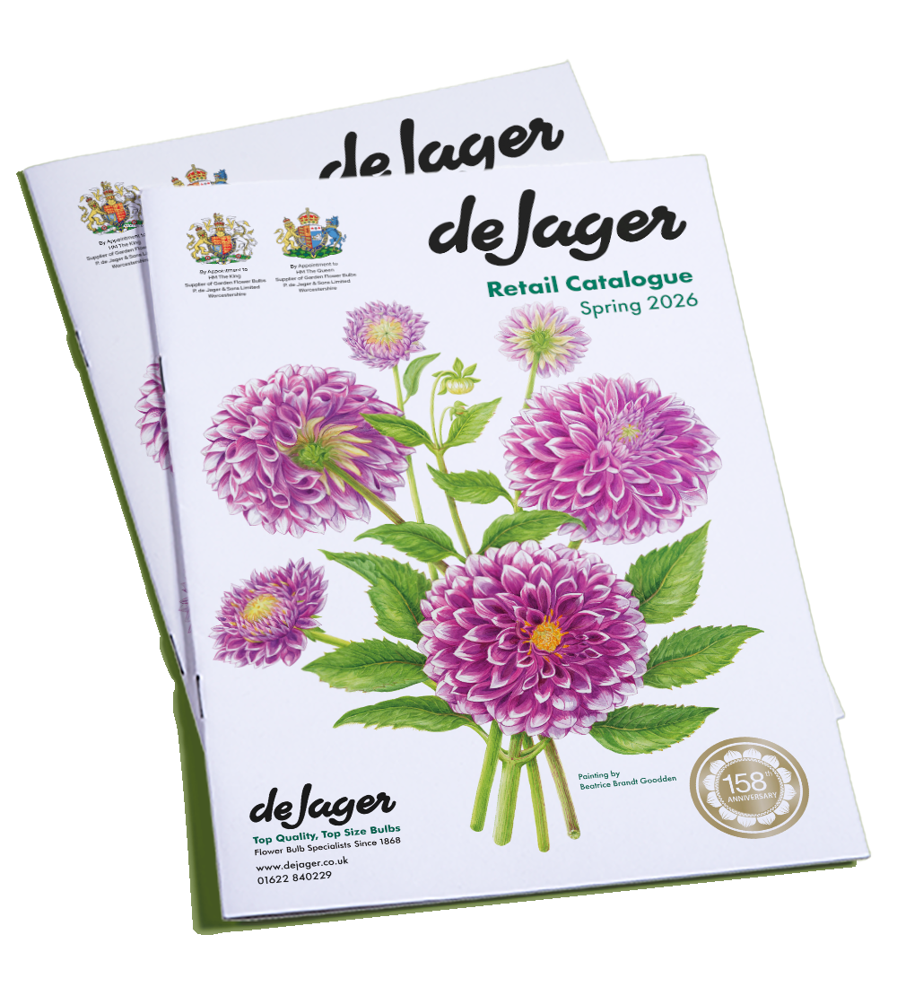 de Jager Catalogue